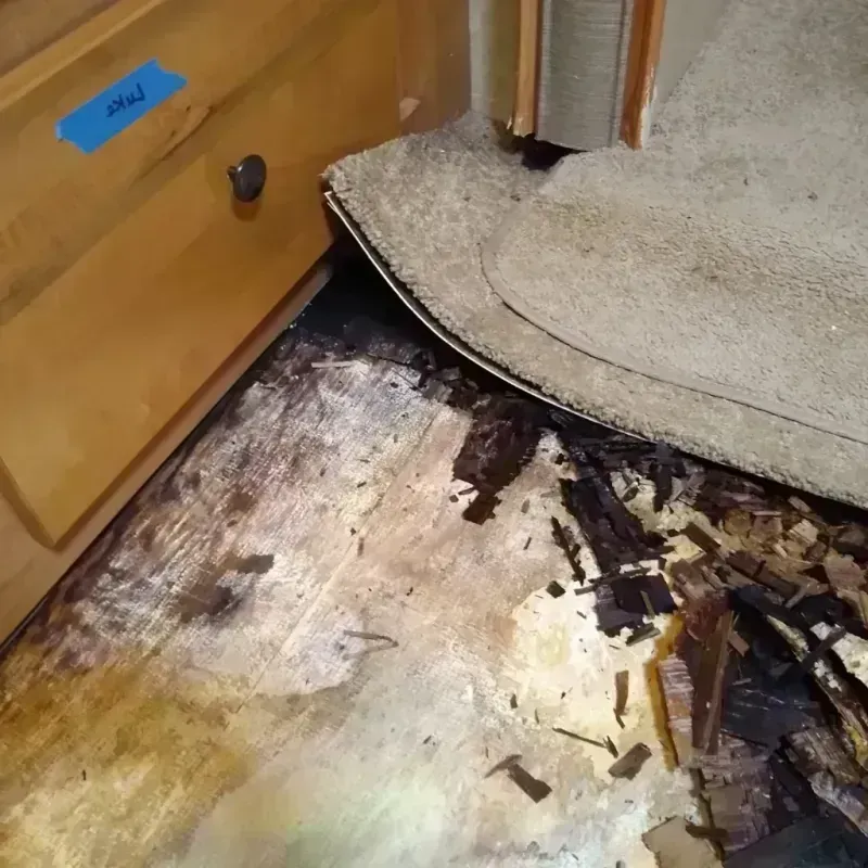 Wood Floor Water Damage in New Brockton, AL